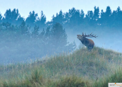 TERRAbyte - Naturfotografie - Referenzen
